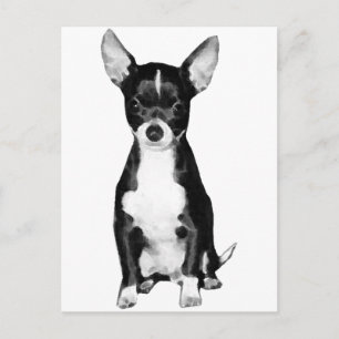 Carte postale Chihuahua