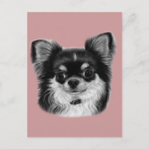 Carte Postale Chihuahua