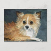 Carte postale "Chihuahua aux cheveux longs" (Devant)