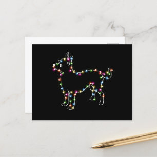 Carte Postale Chihuahua avec Noël Lumière Amoureux de les chiens