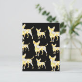 CARTE POSTALE CHIHUAHUA BLING! (Debout devant)
