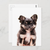 Carte Postale Chihuahua Chien chiot (Devant / Derrière)