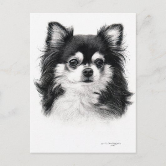Carte Postale Chihuahua Chien Peint À La Main (Devant)