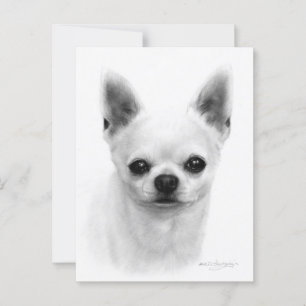 Carte Postale Chihuahua - Chien réaliste