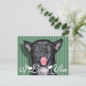 Carte Postale Chihuahua Chien Tongue Je Vous Aime (Debout devant)