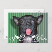 Carte Postale Chihuahua Chien Tongue Je Vous Aime (Devant / Derrière)
