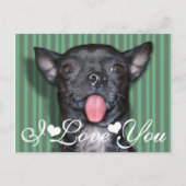 Carte Postale Chihuahua Chien Tongue Je Vous Aime (Devant)