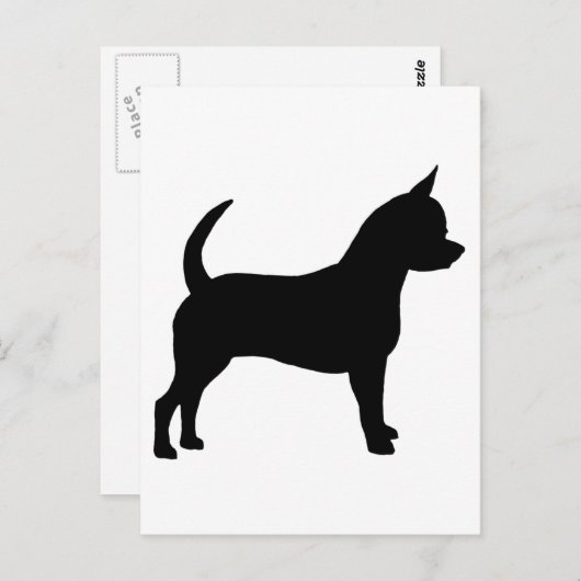 Carte Postale Chihuahua Chig (Devant / Derrière)