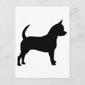 Carte Postale Chihuahua Chig (Devant)