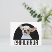 Carte Postale Chihuahua Chig (Debout devant)