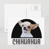 Carte Postale Chihuahua Chig (Devant / Derrière)
