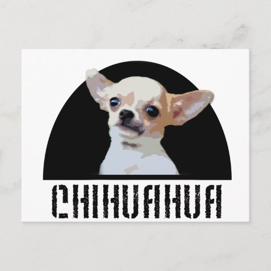 Carte Postale Chihuahua Chig (Devant)