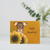 Carte Postale Chihuahua chiot et tournesol (Debout devant)