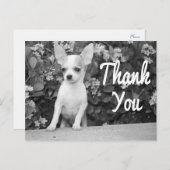 Carte postale Chihuahua Chiot Merci (Devant / Derrière)