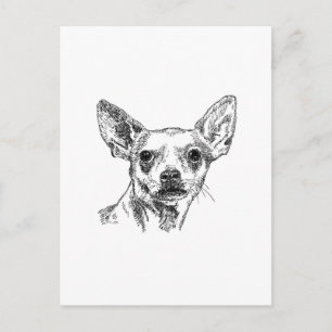 Carte Postale Chihuahua-Chiwawa