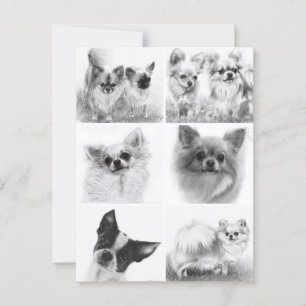 Carte Postale Chihuahua Collection d'Art Peint à la main
