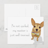 Carte Postale Chihuahua dans un bowtie sur un arrière - plan bla (Devant / Derrière)