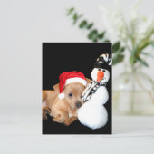 Carte postale Chihuahua de Noël (Debout devant)