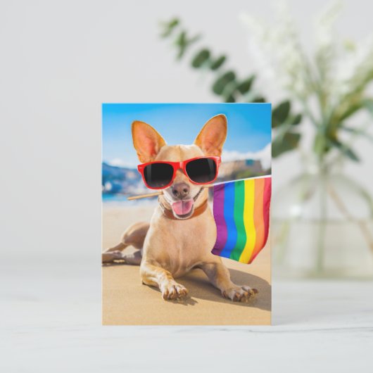 Carte Postale Chihuahua Dog à la plage (Debout devant)