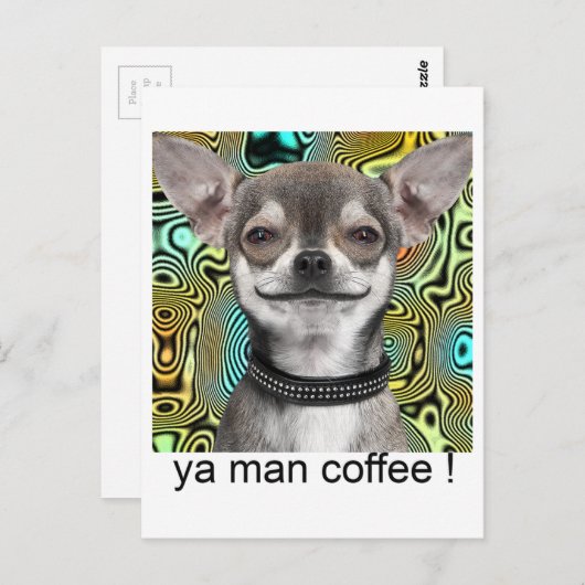 Carte Postale Chihuahua dog smiling (Devant / Derrière)