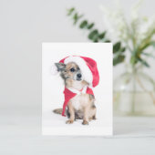 Carte Postale Chihuahua en costume de noël (Debout devant)
