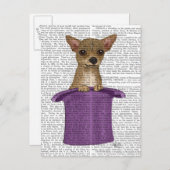 Carte Postale Chihuahua en haut du chapeau (Devant / Derrière)