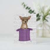 Carte Postale Chihuahua en haut du chapeau (Debout devant)