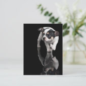 Carte Postale Chihuahua en noir (Debout devant)