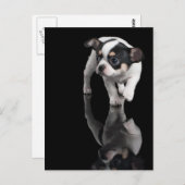 Carte Postale Chihuahua en noir (Devant / Derrière)