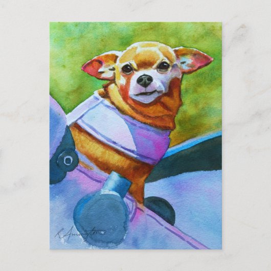 Carte Postale Chihuahua en poussette (Devant)