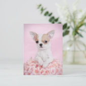 Carte Postale Chihuahua en rose avec des roses (Debout devant)