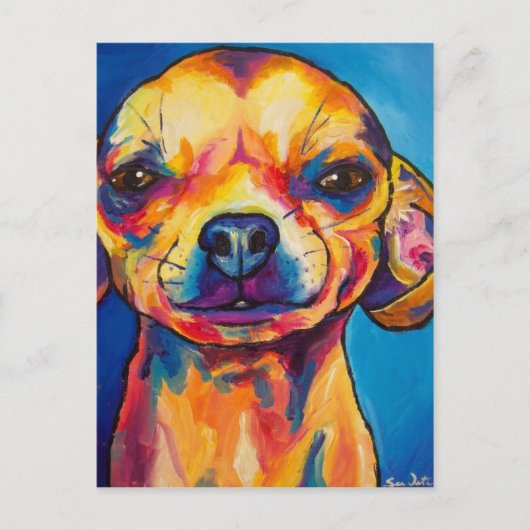 Carte Postale Chihuahua Fawn - Stoli (Devant)