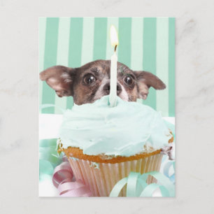 Carte Postale Chihuahua, gâteau d'anniversaire