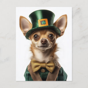 Carte Postale Chihuahua habillé Leprechaun Saint Patrick