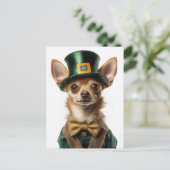 Carte Postale Chihuahua habillé Leprechaun Saint Patrick (Debout devant)