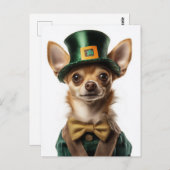 Carte Postale Chihuahua habillé Leprechaun Saint Patrick (Devant / Derrière)