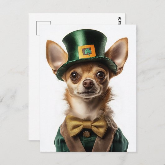 Carte Postale Chihuahua habillé Leprechaun Saint Patrick (Devant / Derrière)