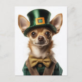 Carte Postale Chihuahua habillé Leprechaun Saint Patrick (Devant)