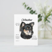 Carte Postale Chihuahua (longue) Conception historique (Debout devant)
