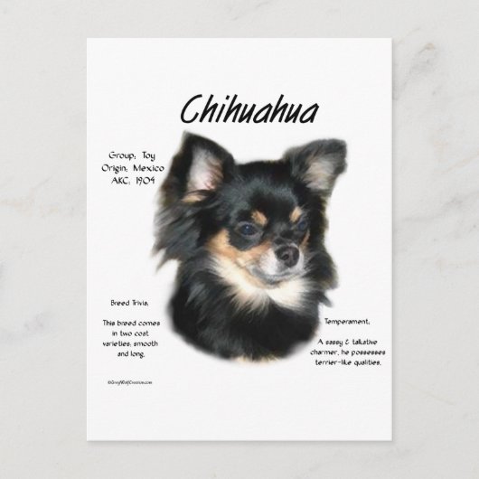 Carte Postale Chihuahua (longue) Conception historique (Devant)