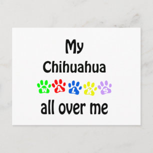 Carte Postale Chihuahua marche design