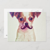 Carte Postale Chihuahua mignonne avec la moustache violet amusan (Devant / Derrière)