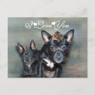 Carte Postale Chihuahua noir avec souris Je t'aime