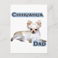 Chihuahua Papa 4