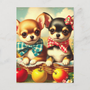 Carte Postale Chihuahua Puppies