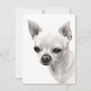 Carte Postale Chihuahua Visage Etude de Visage Peint À La Main