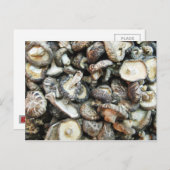Carte Postale Chiitake Musrooms (Devant / Derrière)