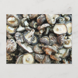 Carte Postale Chiitake Musrooms