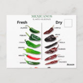 Carte Postale Chiles Fresh and Dry Thunder_Cove (Dos)