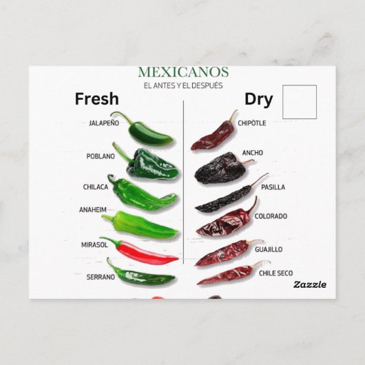 Carte Postale Chiles Fresh and Dry Thunder_Cove (Dos)